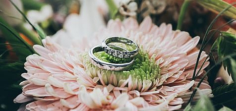 Two rings standing on a flower.