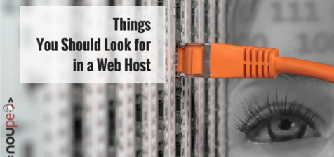 Things You Should Look for in a Web Host